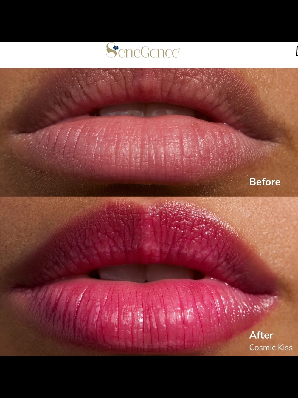 SeneGence Lipsence Glowify pH Lip Oil Tint In Cosmic Kiss - Picture 10 of 11